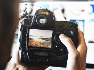 ZOOM PEER PHOTO REVIEW