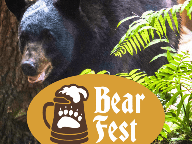 FIELD TRIP: A Day At The Zoo-Bear Fest