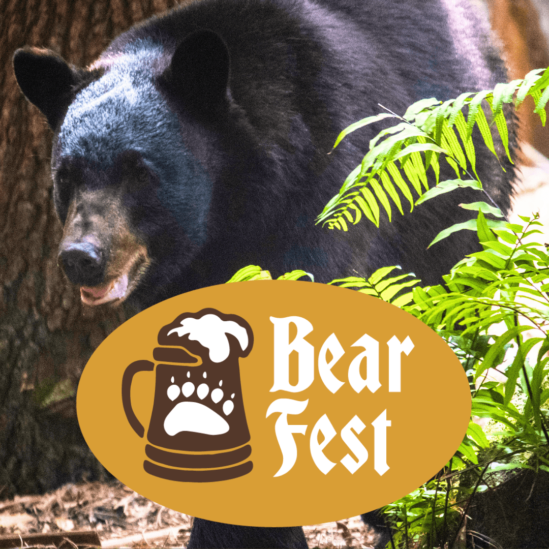 FIELD TRIP: A Day At The Zoo-Bear Fest